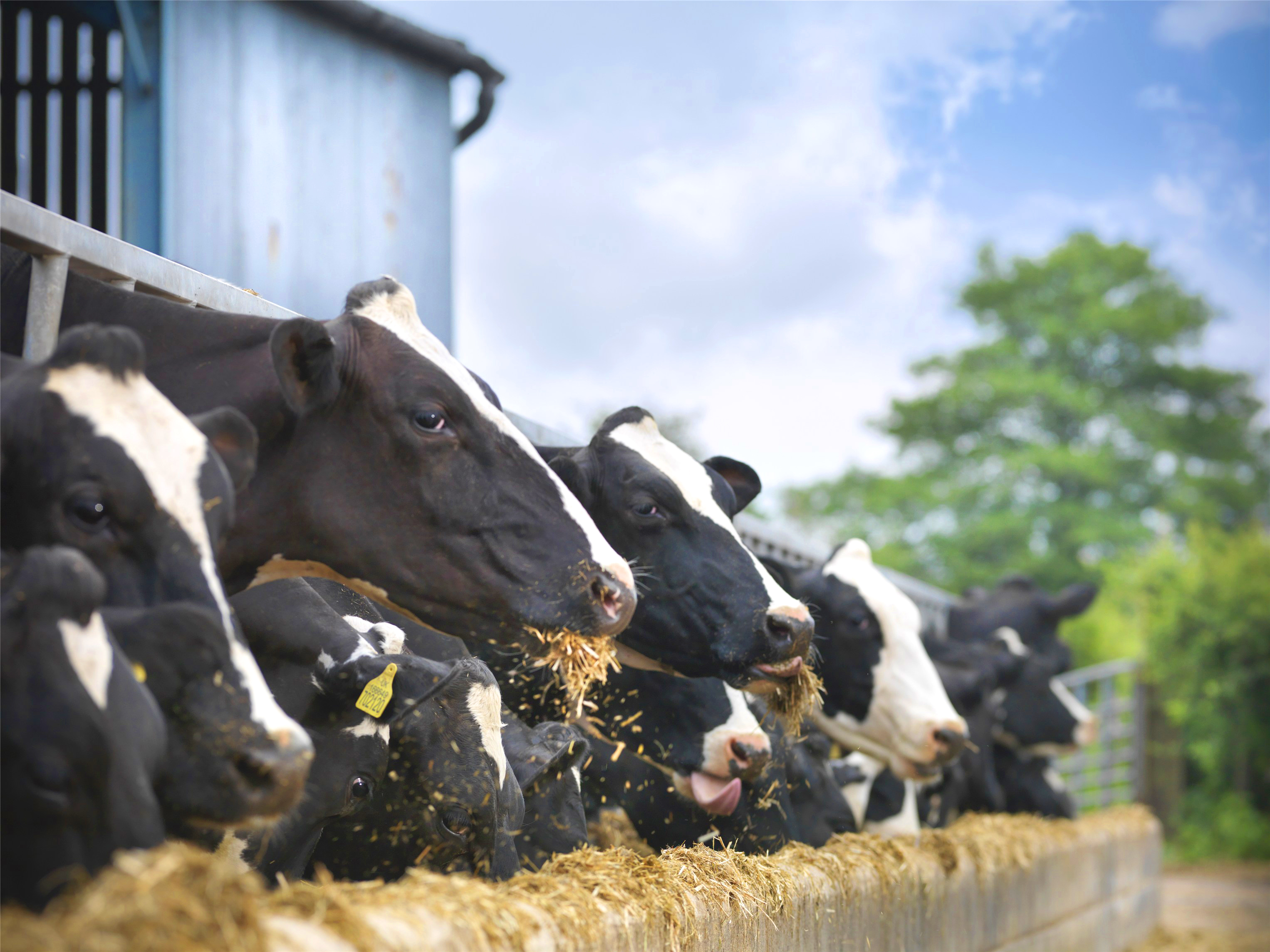 行业动态｜2021年1-7月中国乳制品进口量同比增长31.3% 农村中心深入调研种业科技创新