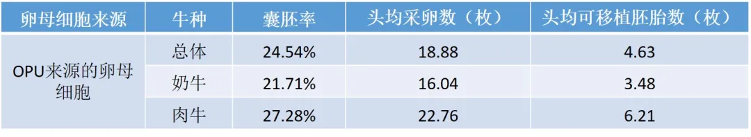 体外胚胎生产效率